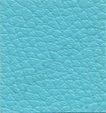 Ginkgo Turquoise