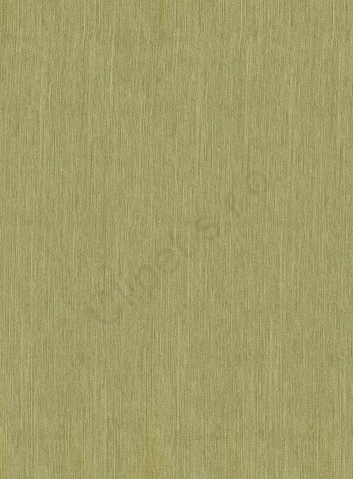 Pivot Cedar 19