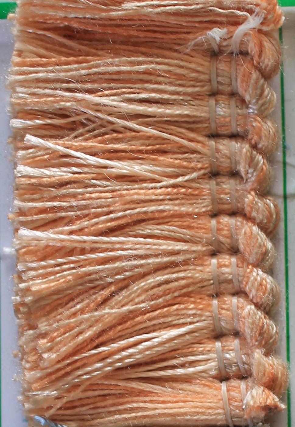 Espumillon Zeus C/8962