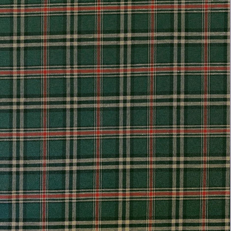 Escoces Mini C/Verde