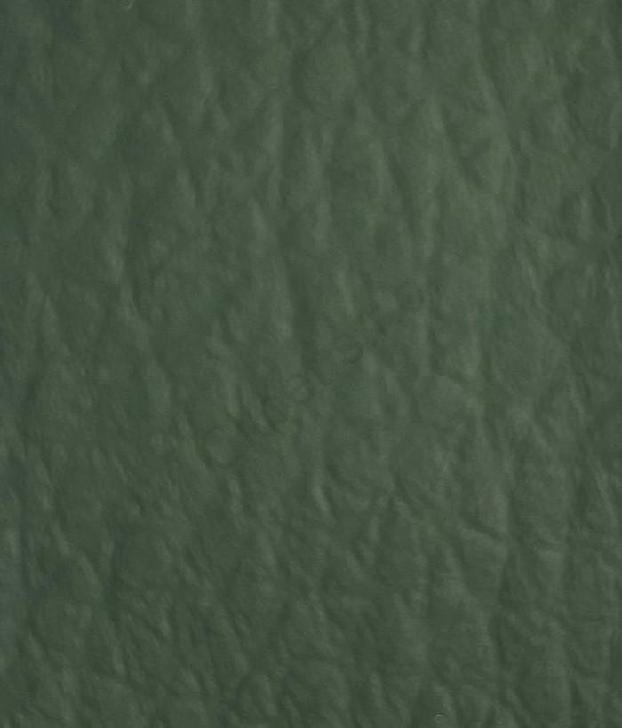 Dolaro 267 Cedar
