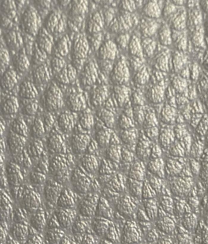Dolaro 743 Silver